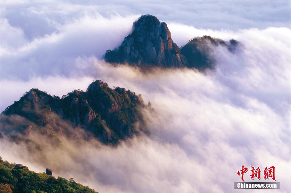 三清山的云海。 单晓刚 摄 图片来源：CTPphoto