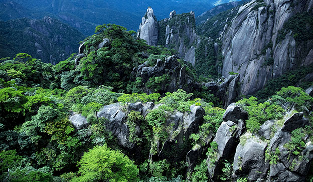 三清山是绿色宝库和天然动植物的基因库